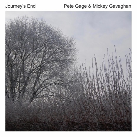 Journey's End ft. Mickey Gavaghan | Boomplay Music