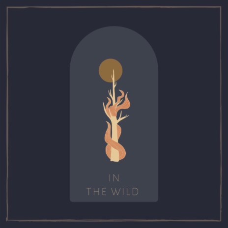 In The Wild ft. Abby Van Allen, Abigail Aldinger & Cheri Willecke | Boomplay Music