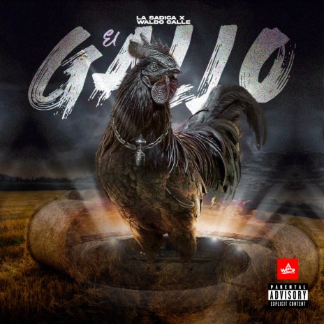 El Gallo ft. Waldo Calle | Boomplay Music