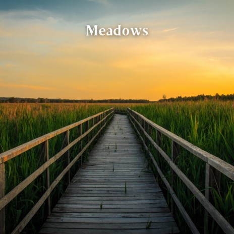 Meadows | Boomplay Music