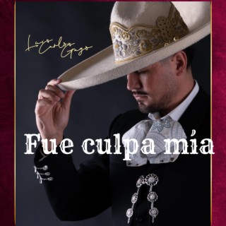 Fue culpa mia lyrics | Boomplay Music