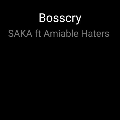 Saka ft. Amiable Haters | Boomplay Music