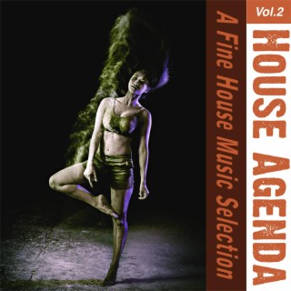 House Agenda, Vol. 2 - a Fine House Music Selection