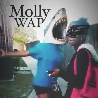 Molly Wap (At the Speed of Life Remix)