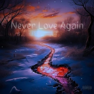 Never Love Again lyrics | Boomplay Music