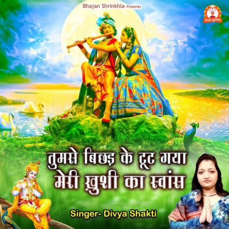 Tumse Bichad Ke Toot Gaya Meri Khushi Ka Swans | Boomplay Music