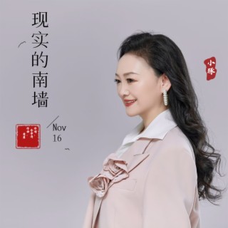 现实的南墙 lyrics | Boomplay Music