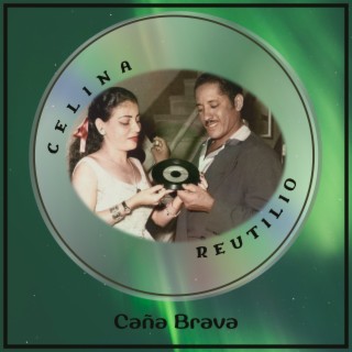 Caña Brava