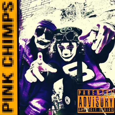 PINK CHIMPS | Boomplay Music