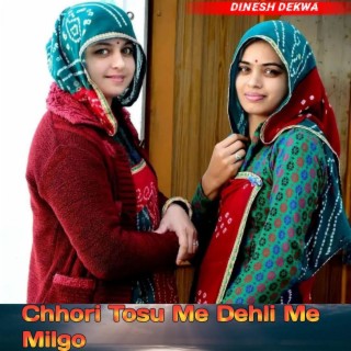 Chhori Tosu Me Dehli Me Milgo (Dinesh Dekwa)