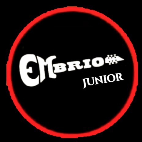 Album Embrio Junior Vol 1