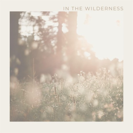 In the Wilderness | Boomplay Music