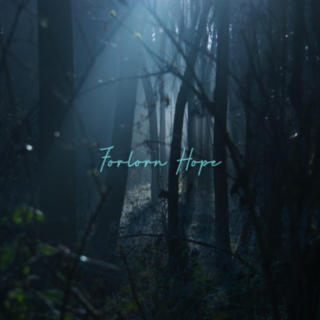 Forlorn Hope | Boomplay Music