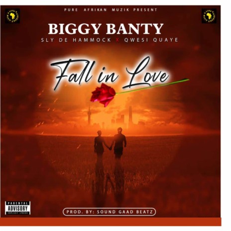 Fall In Love ft. Sly De Hammock & Qwesi Quaye | Boomplay Music