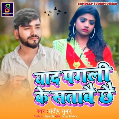 Yaad Pagli Ke Satabai Chhai (Maithili) | Boomplay Music