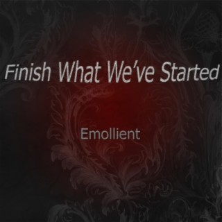Finish What We've Started lyrics | Boomplay Music