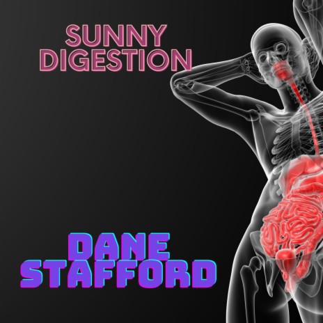 Sunny Digestion | Boomplay Music