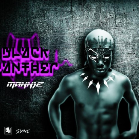 Black Panther | Boomplay Music