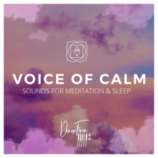 Voice of Calm