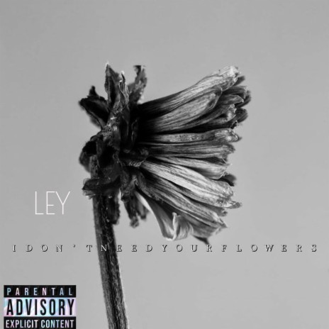 I Don’t Need Your Flowers | Boomplay Music