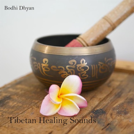 Tibetan Healing Sounds: Cleans the Aura and Space. Removes all negative energy