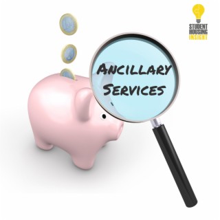 SHI 0405 - Ancillary Services w/Andrew Smith