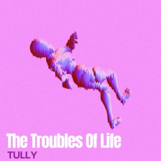 The Troubles Of Life