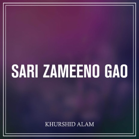 Sari Zameeno Gao