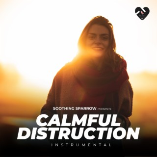 Calmful Distruction (Instrument)