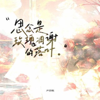 思念是玫瑰凋谢的落叶 lyrics | Boomplay Music