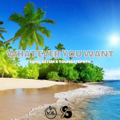 What Ever You Want ft. YoungStephTv | Boomplay Music