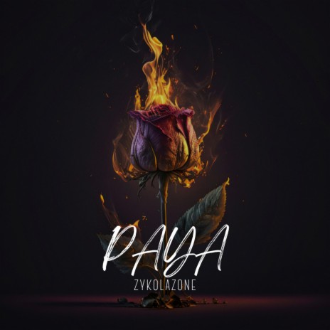 Paya | Boomplay Music