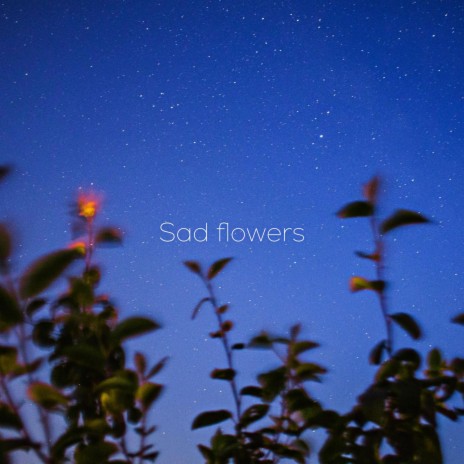 Sad Flowers (feat. NARA) | Boomplay Music