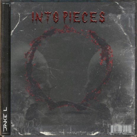 INTO PIECES | Boomplay Music