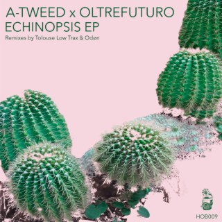 Echinopsis EP