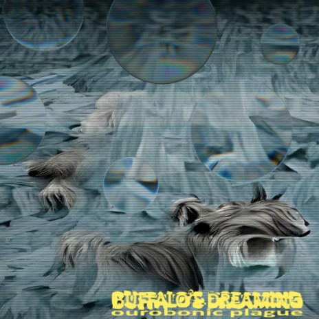 BUFFALO'S DREAMING | Boomplay Music