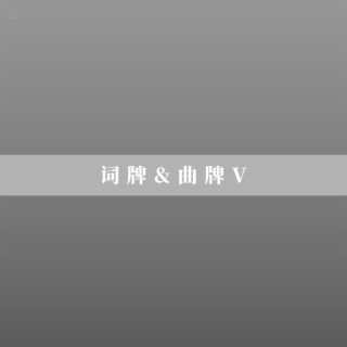 词牌&曲牌V