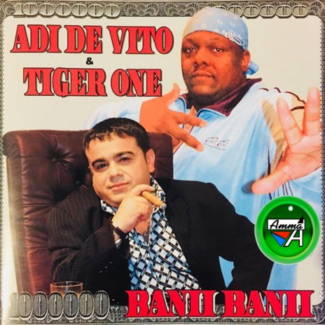 Banii Banii (feat. Tiger One) | Boomplay Music