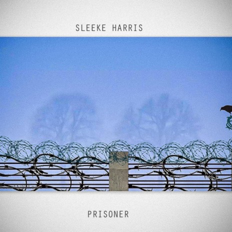 Prisoner | Boomplay Music