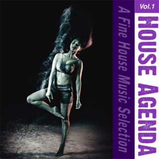 House Agenda, Vol. 1 - a Fine House Music Selection