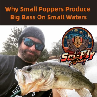 Catching Big Bass On Small Poppers