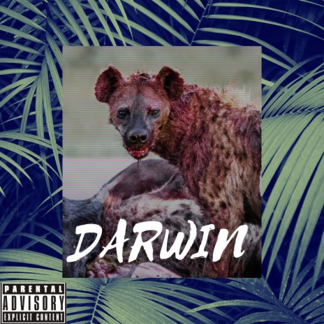 Darwin | Boomplay Music