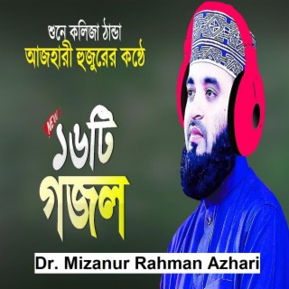 মধুর কন্ঠে ষোলটি ইসলামি গান | মিজানুর রহমান আজহারী