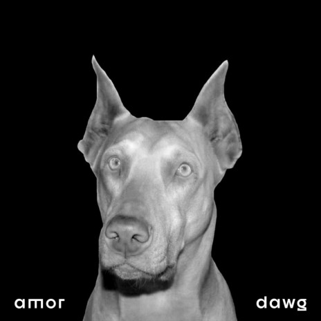 dawg | Boomplay Music