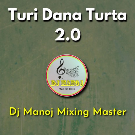 Turi Dana Turta 2.0 | Boomplay Music