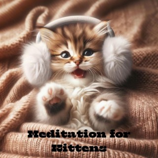 Meditation for Kittens