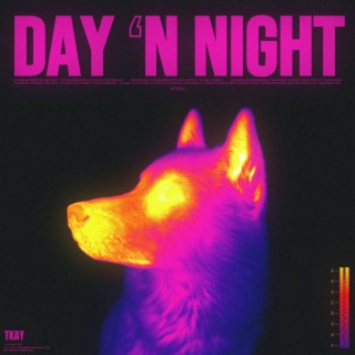 Day N Night