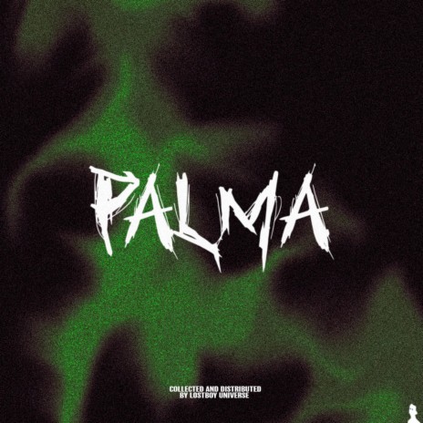 PALMA ft. PHONKMASTER FLASH
