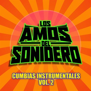 CUMBIAS INSTRUMENTALES, Vol. 2 (Cumbia Instrumental)