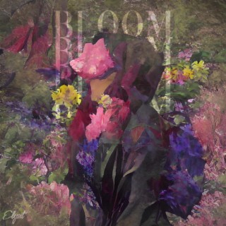 BLOOM